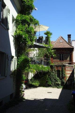 Апартаменты Amtorli Endingen am Kaiserstuhl Экстерьер фото